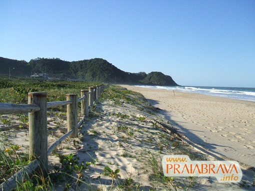A super defendida restinga da Praia Brava Itajaí - Imagem: Ronaud Pereira A super defendida restinga da Praia Brava Itajaí - Imagem: Ronaud Pereira